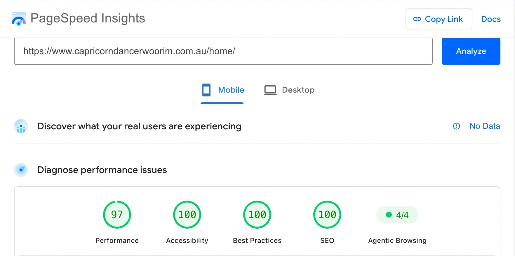 Capricorn Dancer mobile PageSpeed Insights scores: Performance 97, Accessibility 100, Best Practices 100 and SEO 100